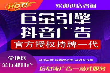 竞价推广实战：经典案例深度解析